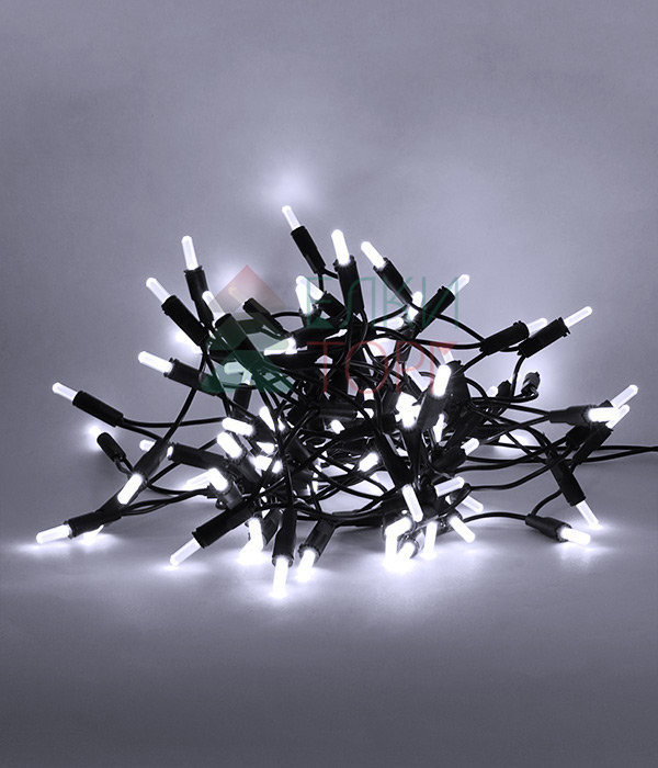 Светодиодная нить Самоцветы 100 холодных белых LED ламп, 10 м., 220В, зеленый провод, Beauty Led (SAM100-13-2W)