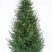 Искусственная ель Лесная Симфония 270 см., 100% литая хвоя, Max Christmas (ЕЛСМЛ27)