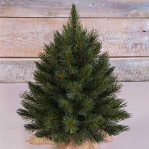 Елка Лесная Красавица в мешочке 45 см., леска, Triumph Tree (73988)