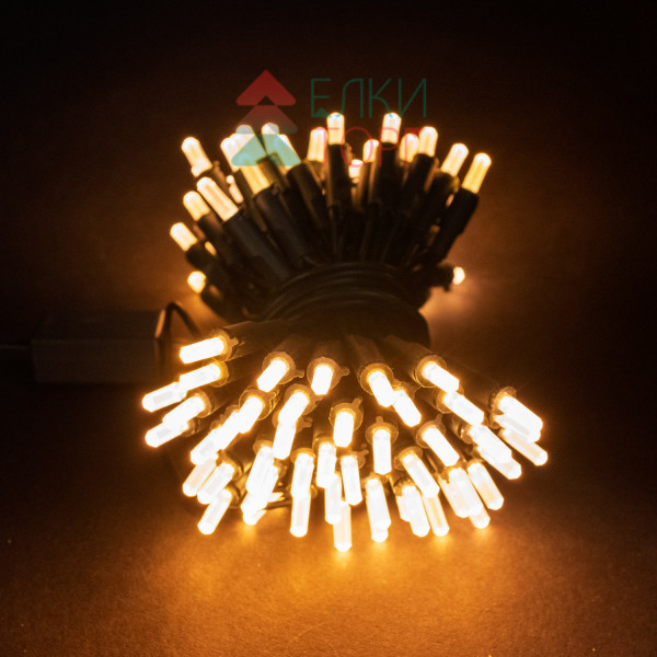Светодиодная нить Самоцветы 100 теплых белых LED ламп, 10 м., 220В, зеленый провод, Beauty Led (SAM100-13-2WW)