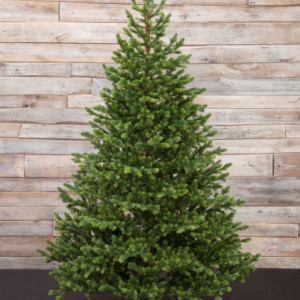 Ель Городская, 100% литая хвоя, 215 см., Black Box (74543)