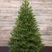 Ель Городская, 100% литая хвоя, 230 см., Black Box (74544)
