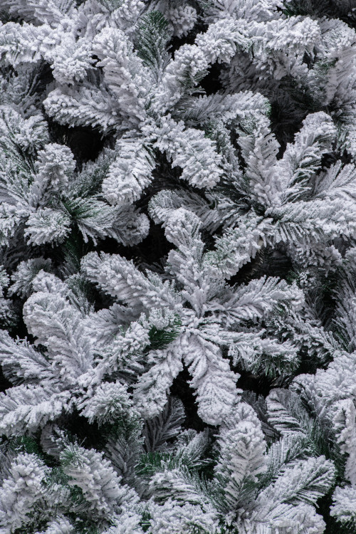 Искусственная елка Эверест заснеженная 240 см., мягкая хвоя, ЕлкиТорг (132240)