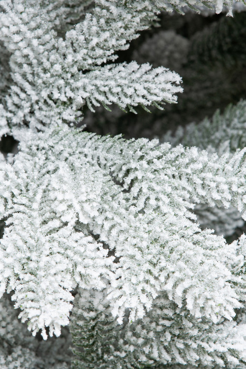 Искусственная елка Алтайская заснеженная 300 см., 100% литая хвоя, ЕлкиТорг (169300)