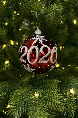 Стеклянный шар 2026 год 95 мм., красный, стекло, Ёлочка (С309/2)