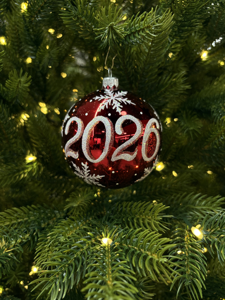 Стеклянный шар 2026 год 95 мм., красный, стекло, Ёлочка (С309/2)