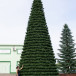 Уличная елка Испанская зеленая 28 м., каркасная, ПВХ, Green Trees (GT28ISPVC)