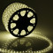 Дюралайт круглый направленный диаметр 13 мм., 220V., теплые белые LED лампы, бухта 100 м, Beauty Led (F3-R2-220V-WW)