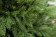 Искусственная ель Графская стройная 210 см., литая хвоя + пвх, ЕлкиТорг (45210)