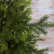 Ель Датская 215 см., 100% литая хвоя, TreeDeLux (70013) 