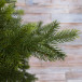 Ель Датская 215 см., 100% литая хвоя, TreeDeLux (70013) 