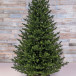 Ель Датская 215 см., 100% литая хвоя, TreeDeLux (70013) 