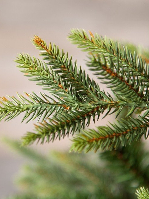 Искусственная ель Королевская премиум 230 см., 100% Литая хвоя, Triumph Tree (73205)