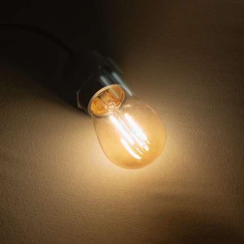 Лампа Филаментная Лофт Ø45 мм, H60 мм., 220В, Цоколь E27, 2 Вт, Золотисто-Коричневая, LTC (FLM27-2W-2TN)