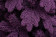 Искусственная фиолетовая елка Таврида заснеженная 270 см., литая хвоя+пвх, ЕлкиТорг (162270)