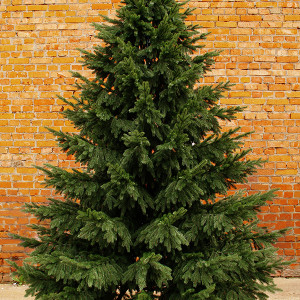 Искусственная ель Сказочная 2,5 м., 100% литая хвоя, ПромЕлка (30250)