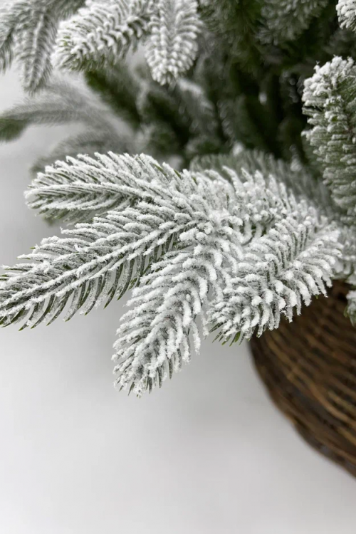 Ель Полярная заснеженная, 100% литая хвоя, 215 см., Black Box (74635)