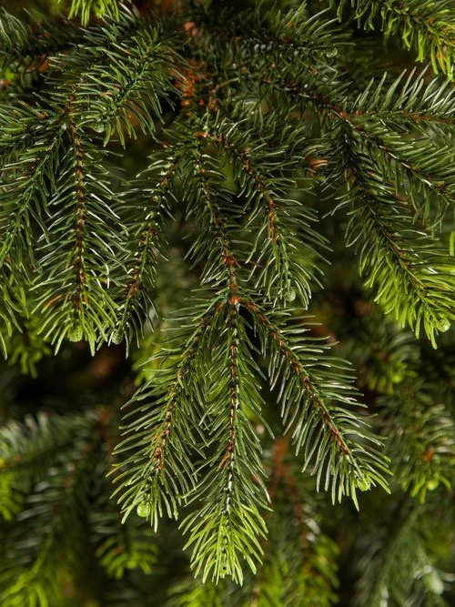 Ель Раскидистая 305 см., литая хвоя+пвх, Black Box (74336) в Санкт-Петербурге