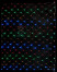 Светодиодная сетка с контроллером 2*2 м., 256 разноцветных LED ламп, прозрачный ПВХ, Beauty Led (NTL256C-10-2M)