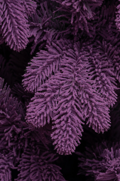 Искусственная фиолетовая елка Таврида заснеженная 300 см., литая хвоя+пвх, ЕлкиТорг (162300)