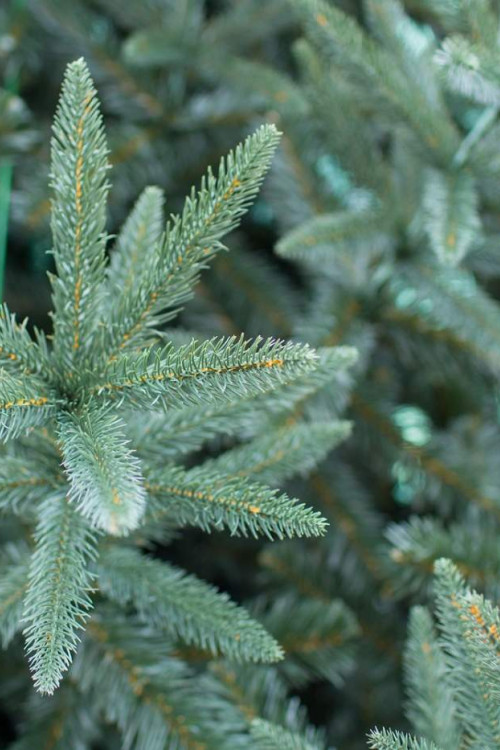 Интерьерная искусственная елка Европейская Премиум 4,5 м., ствольная, Литая хвоя+ПВХ, Green Trees (GT4,5EVR)