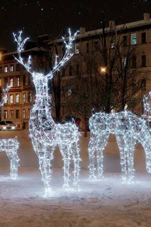 Комплект светодиодных фигур Семья Оленей 3 шт., Conso (OL150)