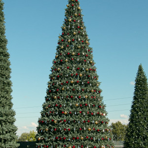 Уличная елка Уральская зеленая 20 м., каркасная, ПВХ, Green Trees (GT20URPVC)