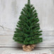 Искусственная сосна Ариадна в мешочке 60 см., Леска, ЕлкиТорг (51060)