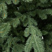 Искусственная елка Карельская  240 см., 100% литая хвоя, ЕлкиТорг (244240)