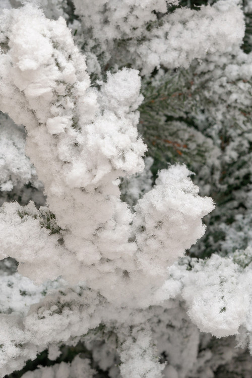 Искусственная елка Имперская заснеженная 210 см., литая хвоя+пвх, ЕлкиТорг (145210) в Санкт-Петербурге