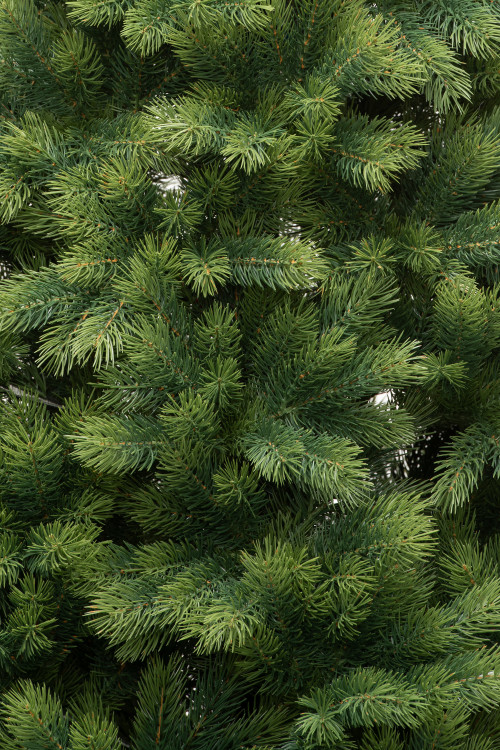 Искусственная елка Таежная 210 см., 100% литая хвоя, ЕлкиТорг (161210)