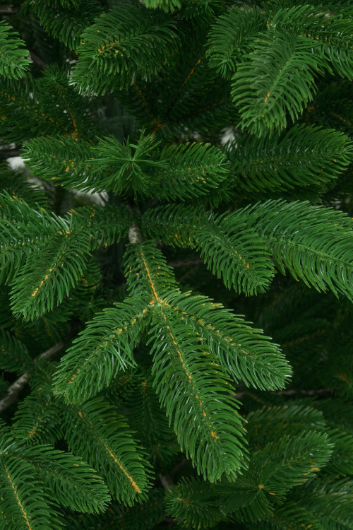 Ель искусственная Никитская 170 см., 100 % литая хвоя, ЕлкиТорг (217170) в Санкт-Петербурге