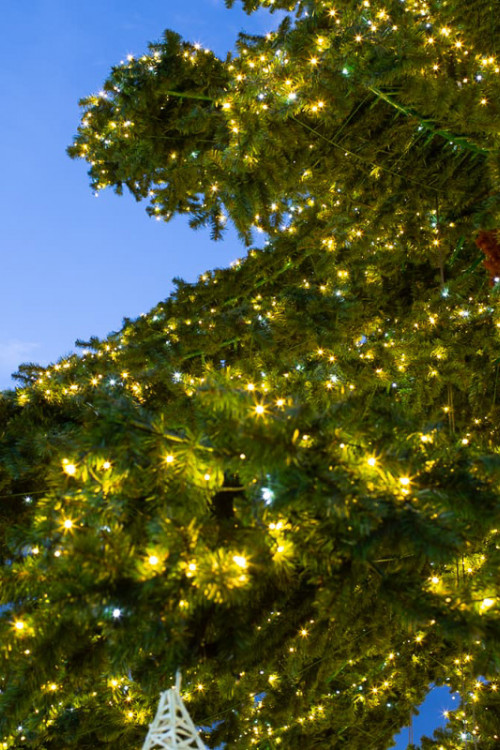 Уличная светодинамическая елка Таежная Премиум зеленая 15 м., ствольная, ПВХ, Green Trees (GT15TAPVCLED)