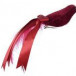 Елочное украшение Райская птица 6*24*4,5 см., бордовый, Kaemingk (702867/2)