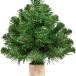 Ель Норвежская 30 см. на деревянном пеньке, мягкая хвоя, Triumph Tree (73389)