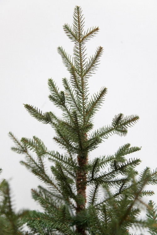 Искусственная ель Французская 185 см., литая хвоя+пвх, Black Box (74377)