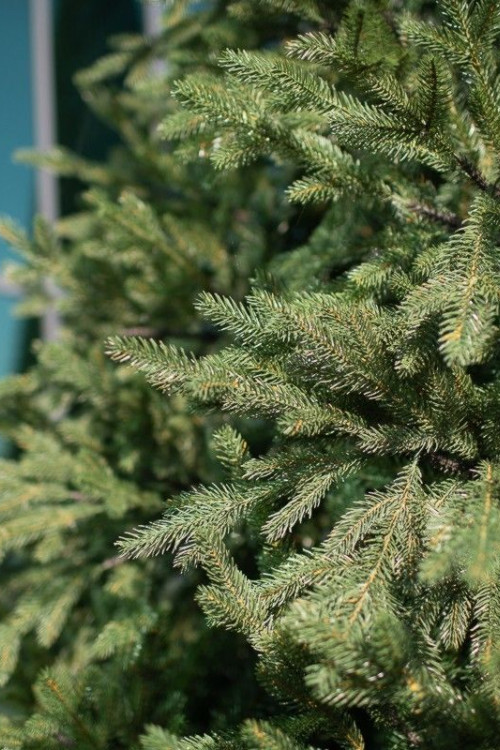 Интерьерная искусственная елка Финская Премиум 3 м., ствольная, Литая хвоя+ПВХ, Green Trees (GT3FIN)