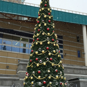 Уличная елка Евро-2 зеленая 8 м., каркасная, ПВХ, Green Trees (GT8EVPVC)