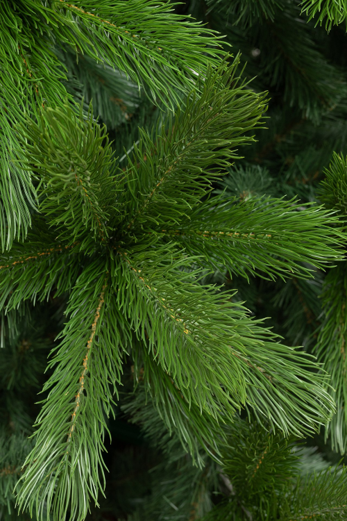 Искусственная елка  Каспийская 300 см., литая хвоя + ПВХ, ЕлкиТорг (257300)