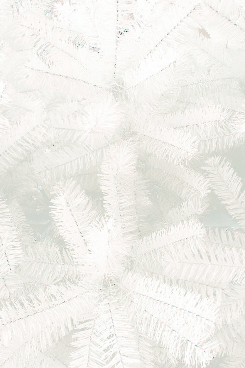 Искусственная ель Виктория белая 8 м., ствольная, интерьерная, ПВХ, ПромЕлка (VK800VIKTORW) в Санкт-Петербурге