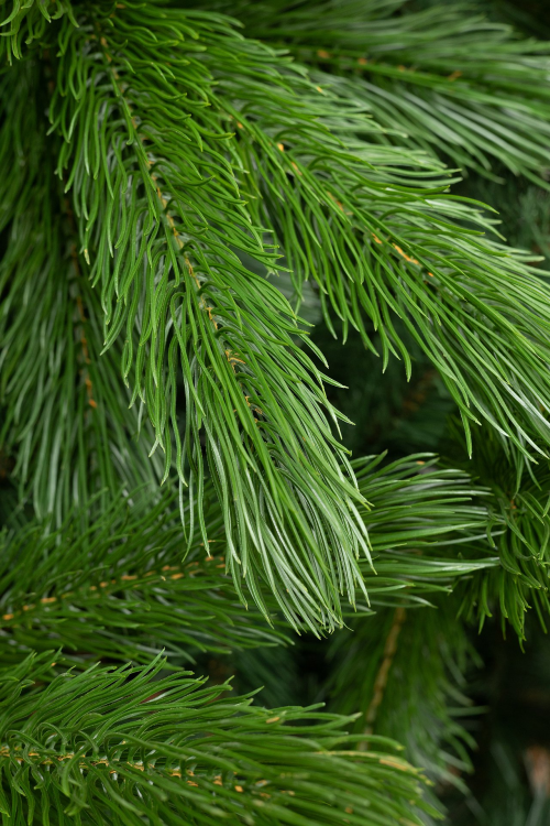 Искусственная елка  Каспийская 400 см., литая хвоя + ПВХ, ЕлкиТорг (257400)