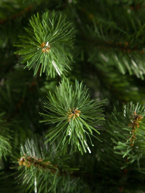 Елка Санкт-Петербург 155 см., мягкая хвоя, Triumph Tree (73579) в Санкт-Петербурге