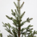 Искусственная ель Французская 215 см., литая хвоя+пвх, Black Box (74378)