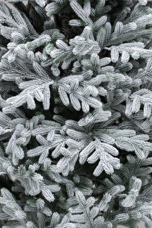 Искусственная елка Уссурийская заснеженная 210 см., 100% Литая хвоя, ЕлкиТорг (254210)