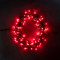 Светодиодная нить 100 красных LED ламп, 10 м., 24В., черный провод ПВХ, Beauty Led (PST100-11-1R)