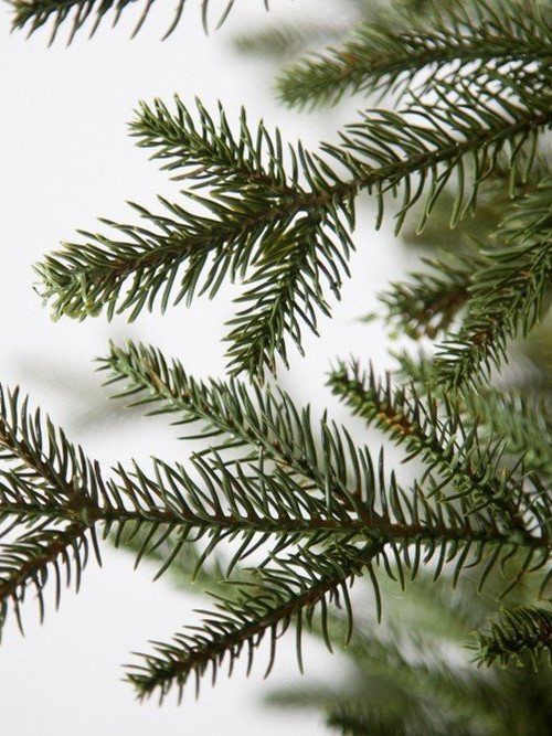 Искусственная ель Французская 230 см., литая хвоя+пвх, Black Box (74379)