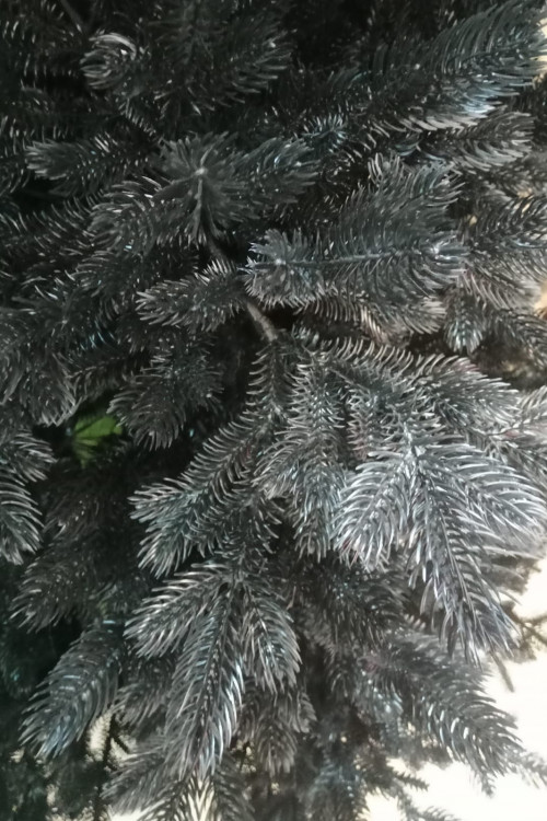 Искусственная елка Черная 300 см., 100% литая хвоя, Max Christmas (ЕЧР30)