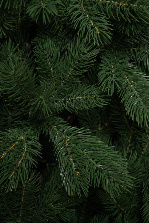 Искусственная елка Приозерская 270 см., 100% литая хвоя, ЕлкиТорг (260270)