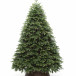 Искусственная елка Богемская 240 см., Литая хвоя+ПВХ, ЕлкиТорг (22240)