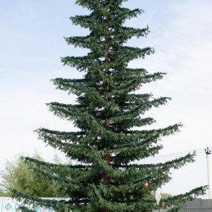 Уличная елка Лесная зеленая 18 м., ствольная, Литая, Green Trees (GT18LESPE) 